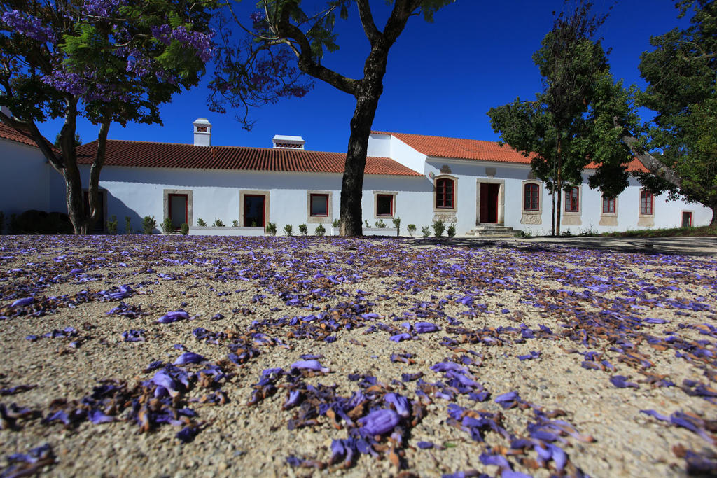 Hotel Quinta Da Lapa Manique do Intendente Exteriér fotografie